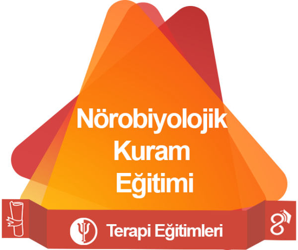 Nörobiyolojik Kuram Eğitimi_63b8308d14845.png