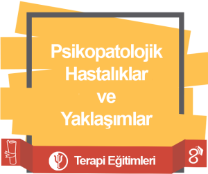 Psikopatolojik Hastalıklar ve Yaklaşımlar_63b8309fdbca2.png