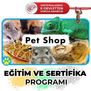 pet shop sertifikalı eğitimi edevlet üniversite onaylı